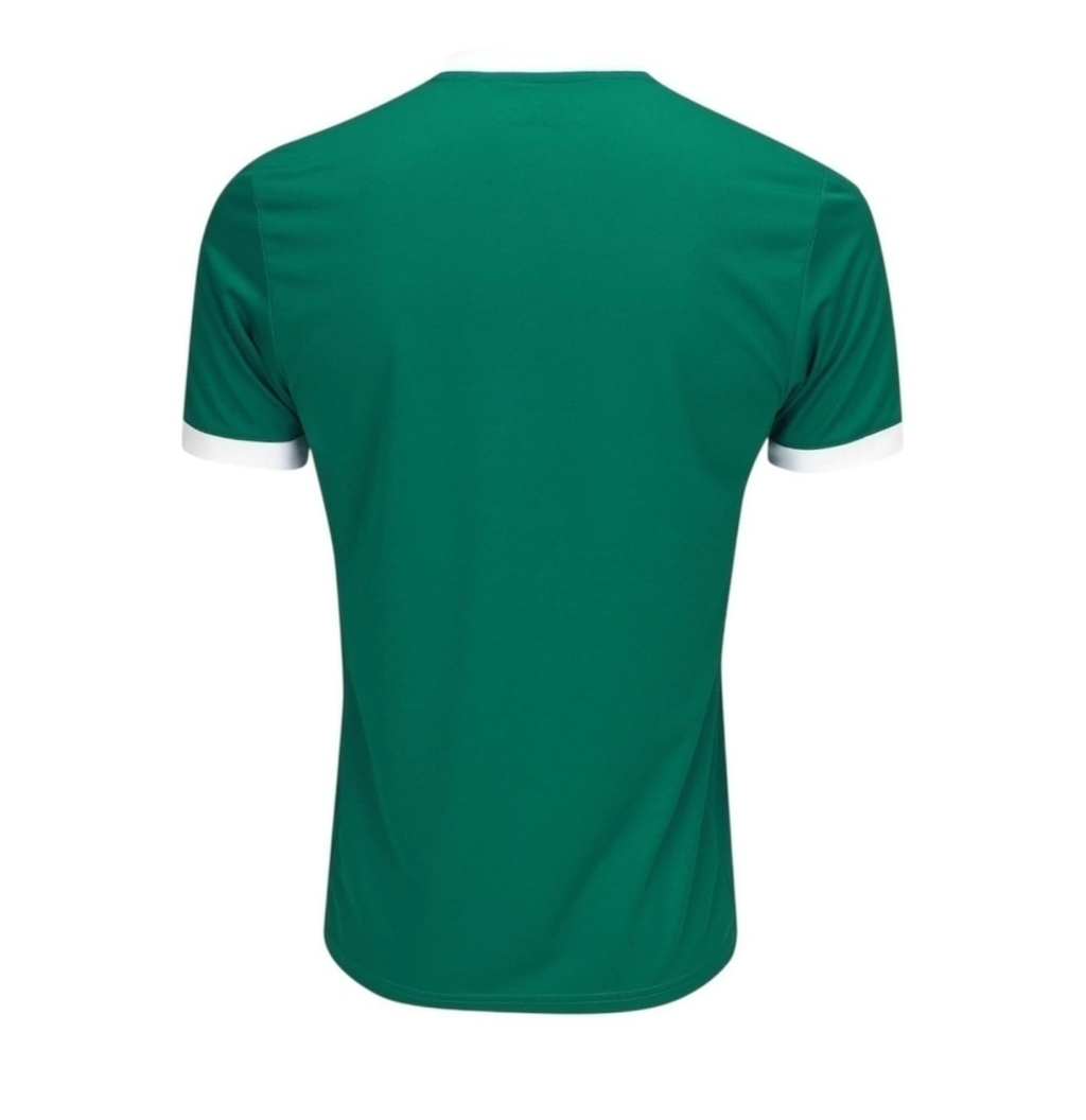 Camisa Palmeiras I 25/26 - Torcedor Puma Masculina
