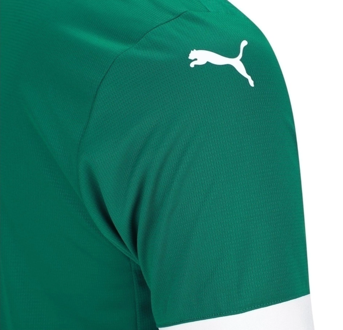 Camisa Palmeiras I 25/26 - Torcedor Puma Masculina
